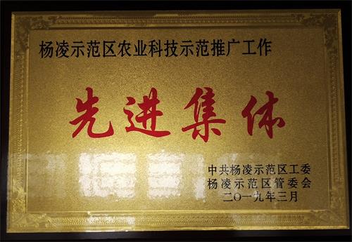 杨凌示范区农业资讯示范推广工作先进集体